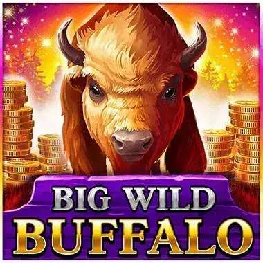 Play Big Wild Buffalo Winshark casino